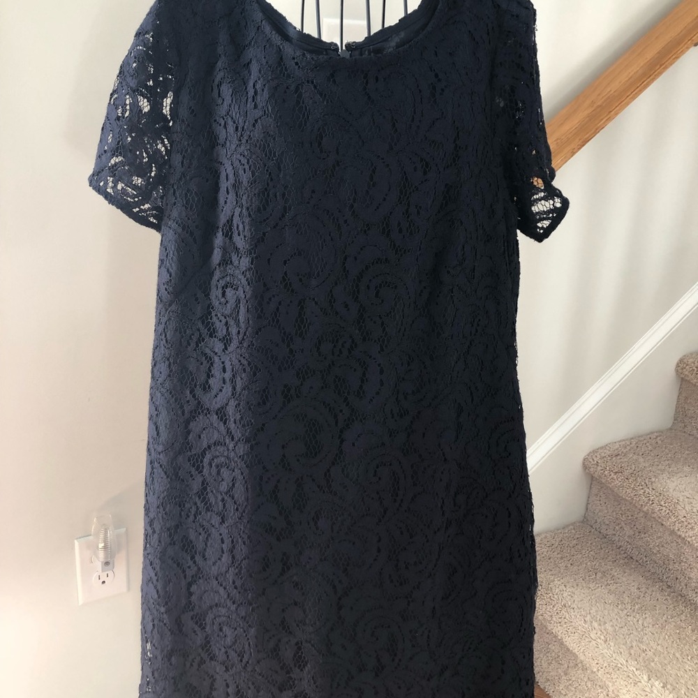 Ann Taylor Lined Lace Dress